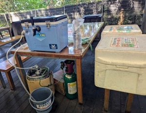 PXL_20250718_203101643