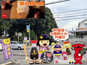 PXL_20240929_234446616