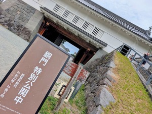 小田原城・銅門特別公開中