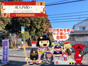 PXL_20240929_234446616