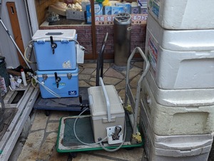 PXL_20231104_072111626.PORTRAIT