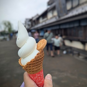 PXL_20240714_032017307~2