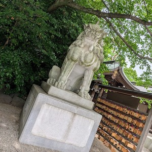 寒川神社のデカい狛犬