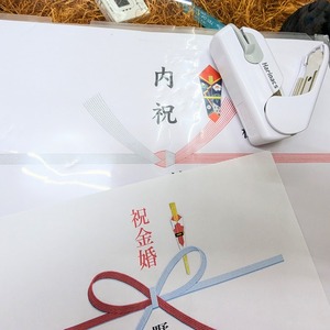 PXL_20241204_105201255