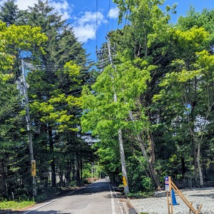 PXL_20250525_033540650~2