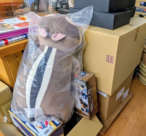 PXL_20251026_05255397 (1) (1)