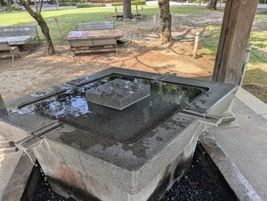 PXL_20250825_022900342