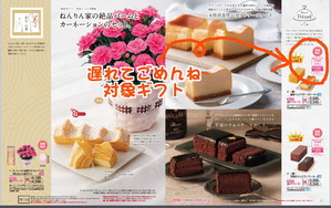 母の日遅れてごめんね