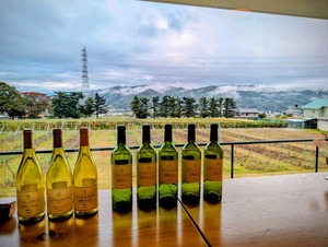 PXL_20251026_054113353~2-EDIT