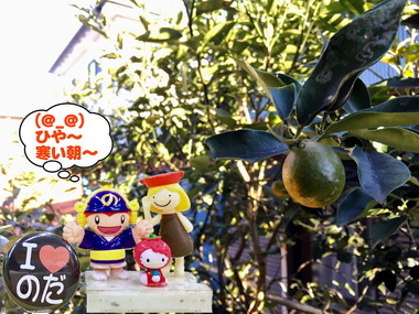 寒ーい朝な野田。。。