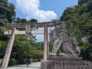 PXL_20250825_022731728