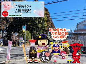 PXL_20231026_235923956