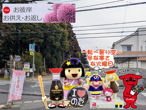 PXL_20231026_235923956