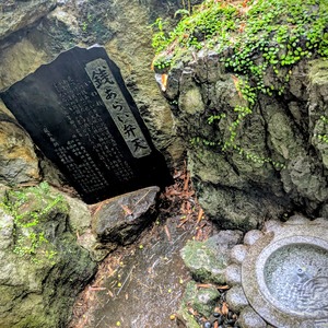 PXL_20250810_043619327~2