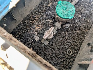 PXL_20251115_0557112632