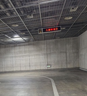 PXL_20231018_065322823