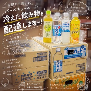 BBQにキンキン冷え冷えペット飲料