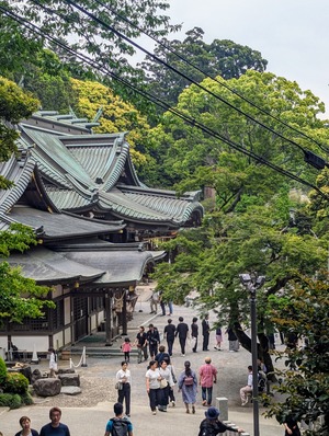 PXL_20240519_030152628