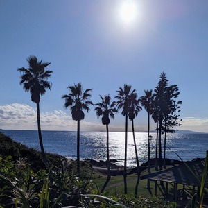 PXL_20231022_055642614