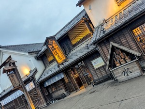 PXL_20250517_023012017~2