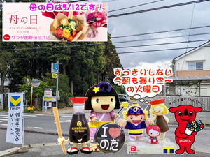 PXL_20231026_235923956