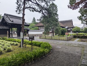 PXL_20240714_060239094