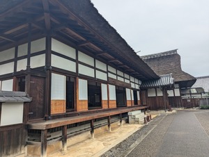 PXL_20240714_054802779