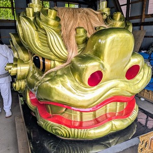 PXL_20240711_233739474