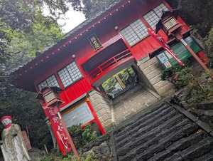 PXL_20250810_042845020