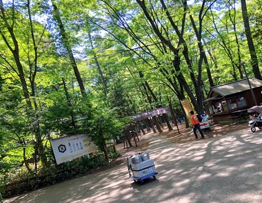 ゴールデンウィークの清水公園