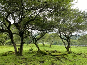 草原がいい感じ