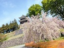 上田城跡