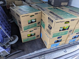 PXL_20240308_001604746