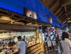 PXL_20240714_023636526