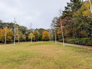 PXL_20251026_064301348~2