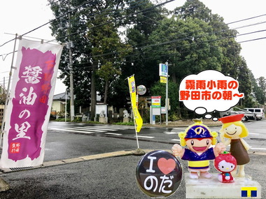 霧雨小雨の朝の野田市