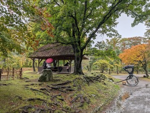 PXL_20251026_015640720