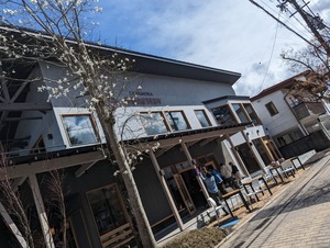 PXL_20230416_043623558