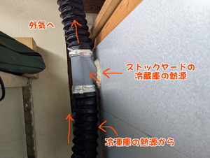 PXL_20250806_234407902 (1)