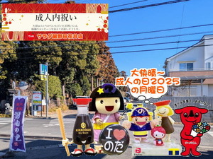 PXL_20240929_234446616