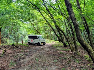 気持ちいい林道の旅