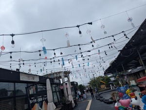 PXL_20250810_054204012