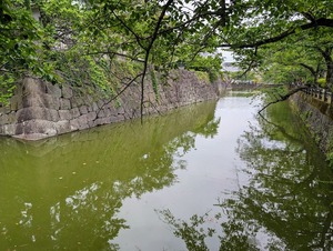 小田原城の堀と石垣に感動