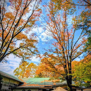 PXL_20251026_05255397 (1)