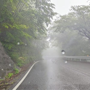 PXL_20240602_054638943