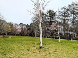 湯川ふるさと公園