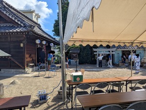 PXL_20250620_205249217