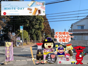 大快晴の野田市の冷え込んだ3月11日の朝