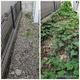 日曜の草刈り正雄