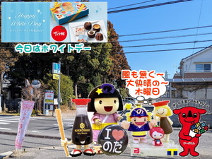 PXL_20231026_235923956